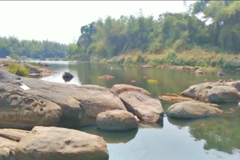 Water in the Cauvery River has declined significantly