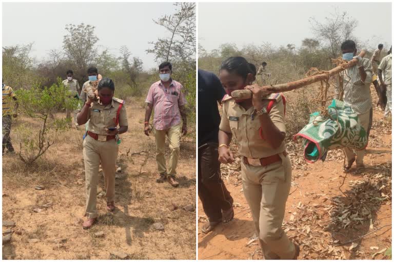 മൃതദേഹം ചുമലിലെടുത്ത് വനിത എസ്ഐ  female si carrying rotten corpse  latest national news  വനത്തിൽ അഴുകിയ മൃതദേഹം