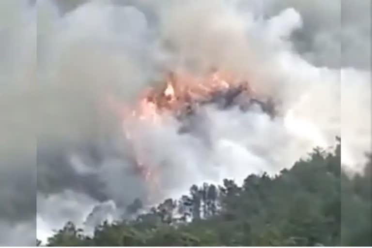 No news of survivors in China's plane crash; rescue efforts continue  China Eastern Airlines plane crash  China Eastern Airlines rescue  China Eastern Airlines plane crash investigation  crash involving Boeing flight  ചൈനയിലെ വിമാന അപകടം  ചൈനയില്‍ നടന്ന ബോയിങ് വിമാന അപകടം  ചൈനയിലെ വിമാന അപകടം അന്വേഷണം