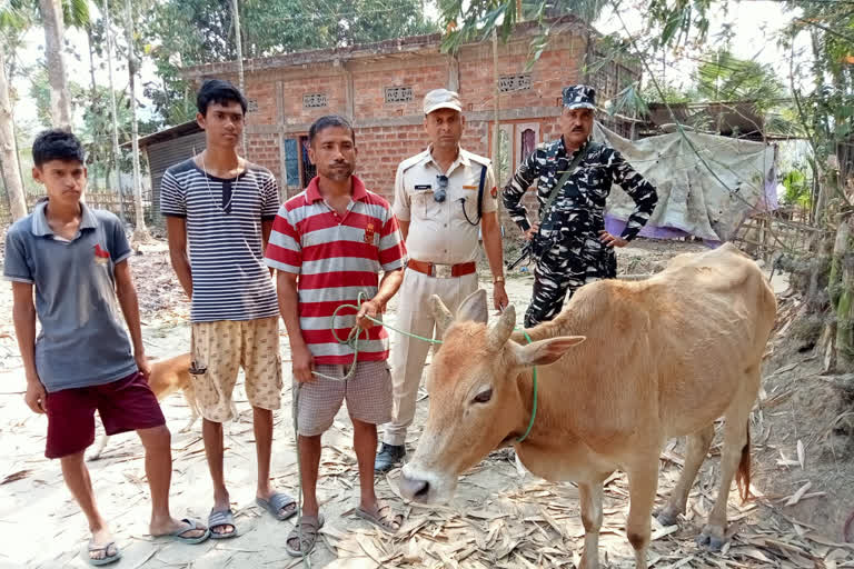 কৰিমগঞ্জৰ পাথাৰকান্দিত গৰু চোৰক লপা থপা