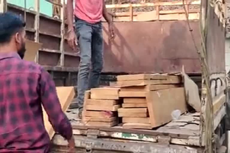 Sukma darbha police arrested a wood smuggler