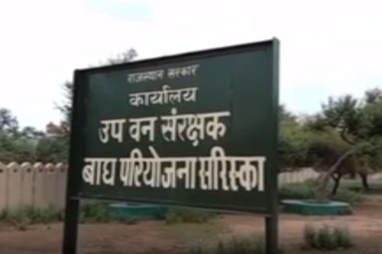 Villagers not ready to vacate Sariska Tiger Reserve