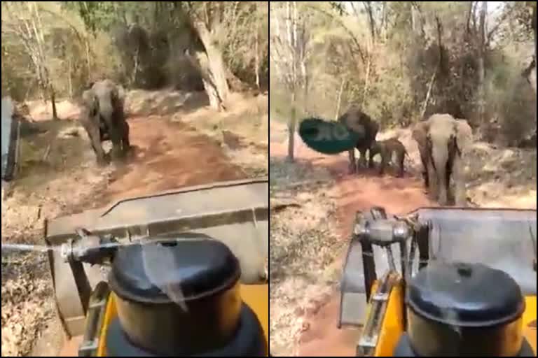 ವಿಡಿಯೋ ವೈರಲ್​