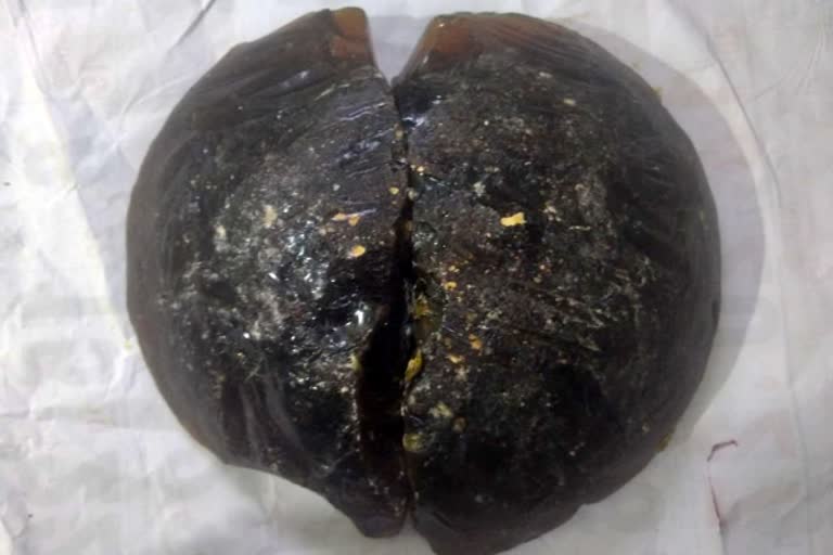 whale-ambergris-worth-rs-2-5-crore-in-madurai