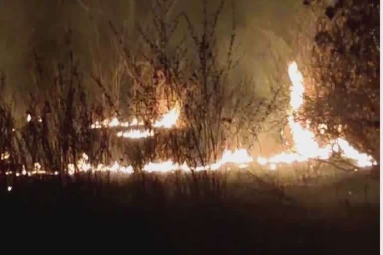Forest Fire in Mahisagar : મહીસાગરના જંગલમાં વિકરાળ આગથી કિલોમીટરો સુધી ધુમાડાના ગોટા મળ્યા જોવા