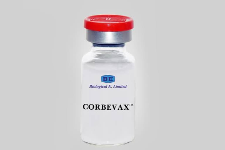 corbevax vaccine