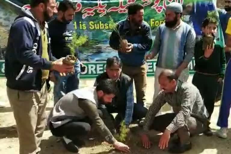 Plantation Drive in Tral: ترال کے ایک نجی اسکول میں شجرکاری مہم