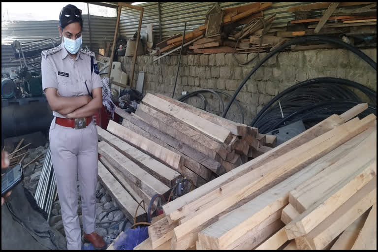 illegal cedarwood recovered in Karsog