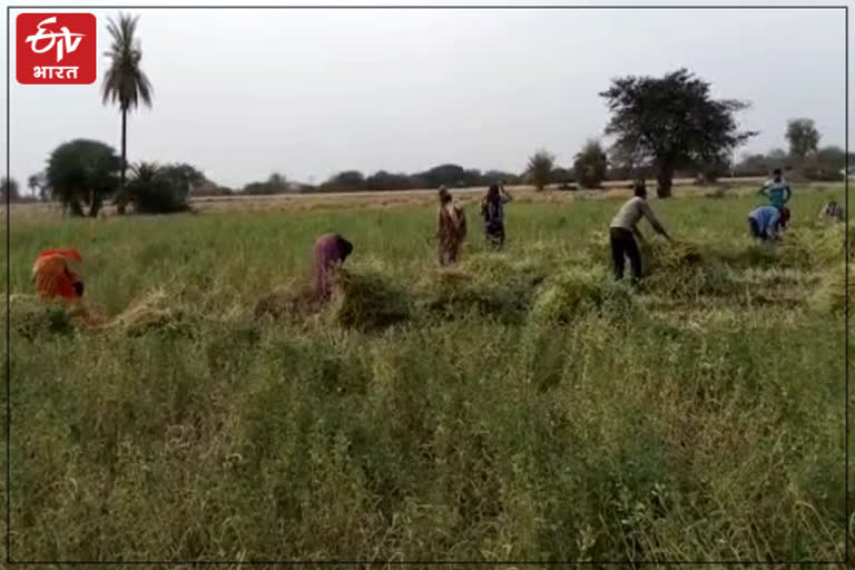 Pratapgarh Farmers on Land Problem