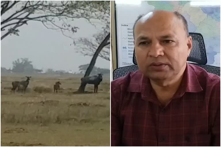 Divisional commissioner gave strange advice to farmers