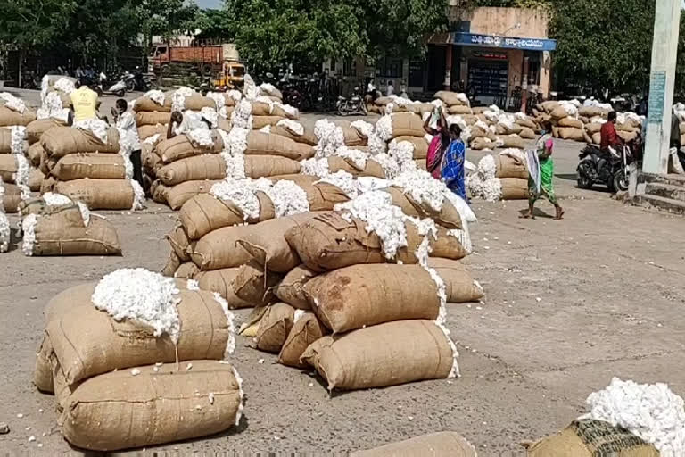 COTTON RECORD PRICE