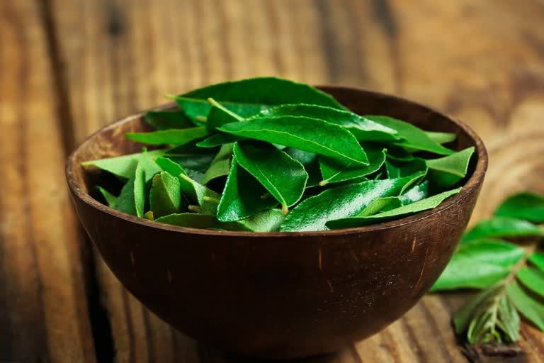 curry leaves