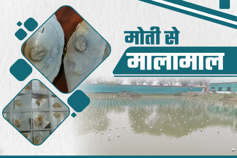 farming in Jharkhand