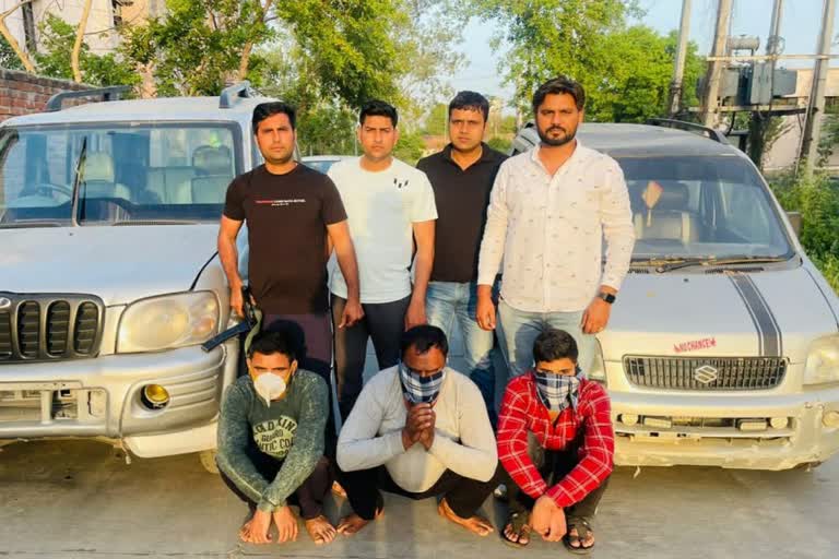 buffalo thief gang in karnal