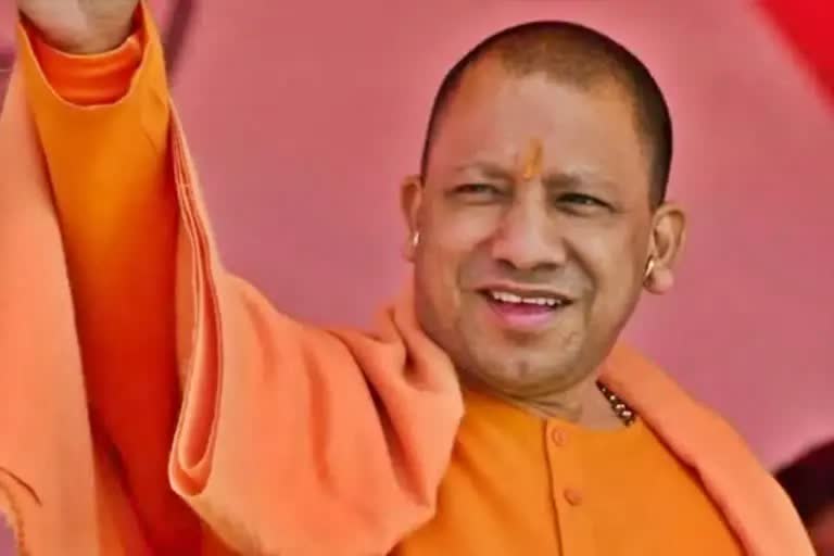 yogi-cabinet