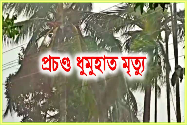 হঠাৎ অহা ধুমুহাত জৰী গছডাল উভালি পৰি মৃত্যু হেমকান্ত বৰাৰ