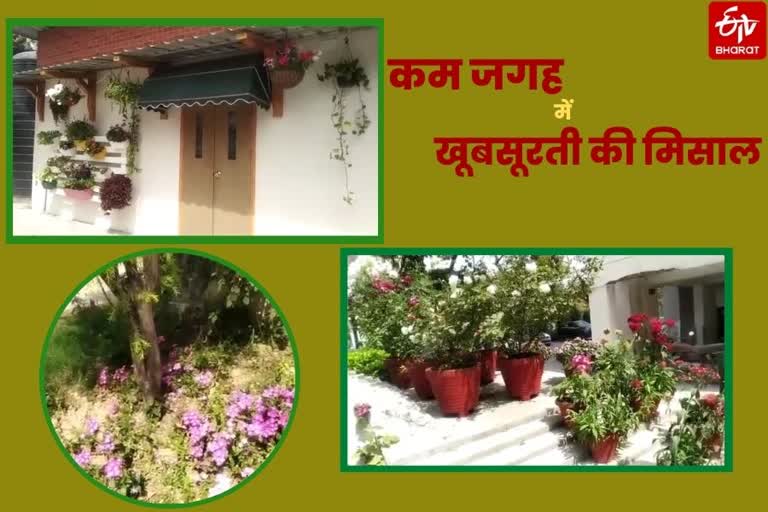 dwarka flower society