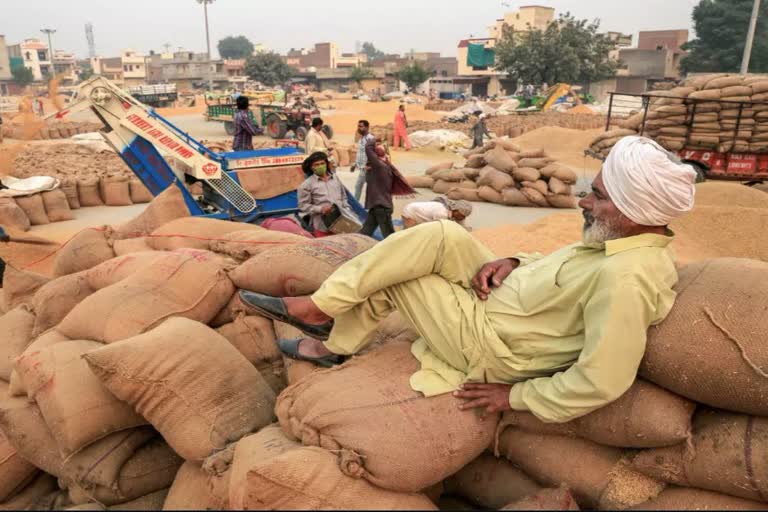 1 ਅਪ੍ਰੈਲ ਤੋਂ ਸ਼ੁਰੂ ਹੋਵੇਗੀ ਕਣਕ ਦੀ ਸਰਕਾਰੀ ਖਰੀਦ