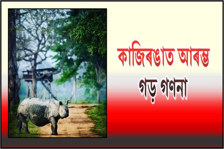 rhino-census-2022-of-kaziranga-national-park