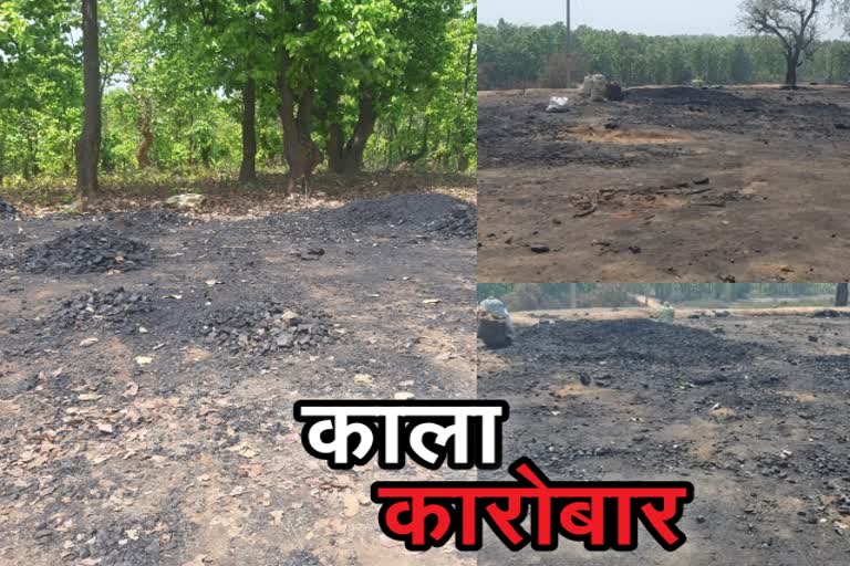 illegal-coal-business-at-mines-in-hazaribag