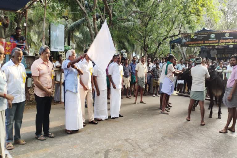 ரேக்ளா பந்தயம் செய்தி