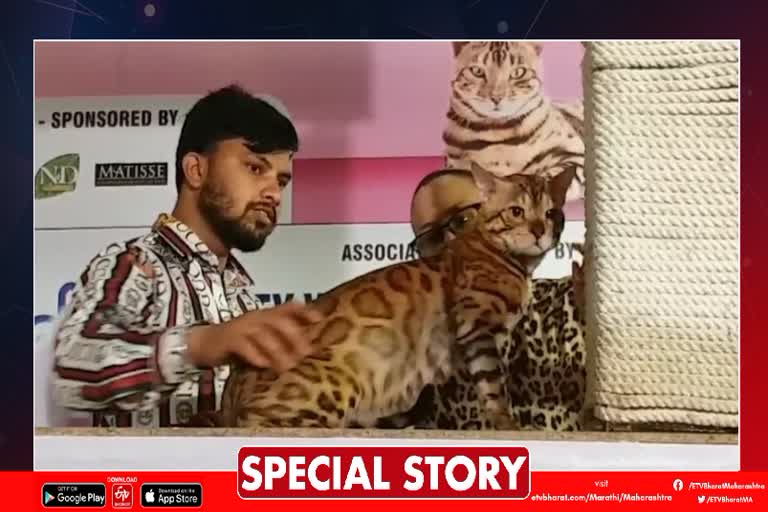 Kolhapur Cat Show