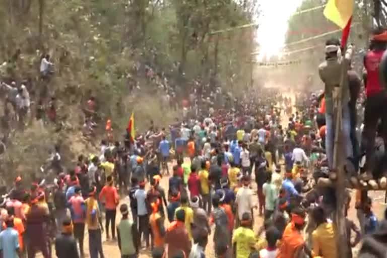 bull running Contest in Uttara Kannada