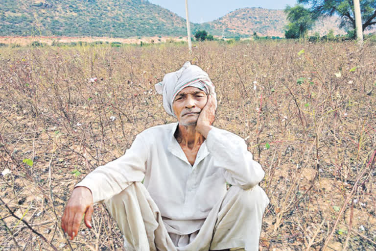 2018 kharif investments subsidy that farmers still ungettable