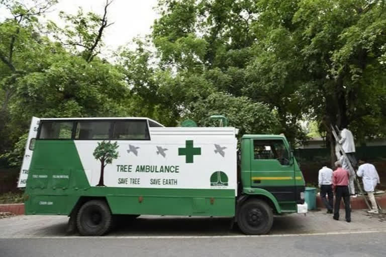Tree Ambulance Service Delhi