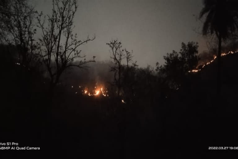 Massive fire breaks out in forest area adjoining Sariska tiger reserve