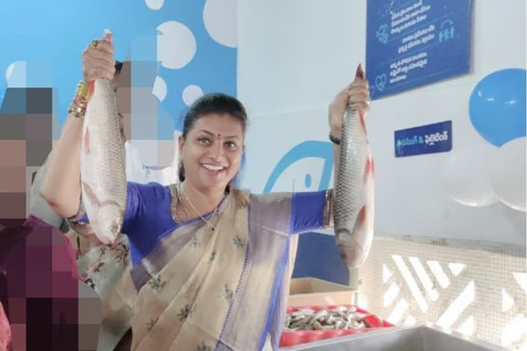 mla Roja launched Fish Outlet