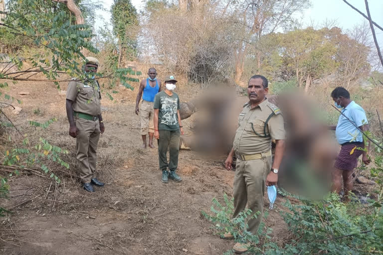 farmer-arrested-for-killing-wild-elephant-near-hosur காட்டுயானை சுட்டு கொலை செய்த விவசாயி கைது ஜவளகிரி வனப்பகுதியில் காட்டுயானை சுட்டு கொலை