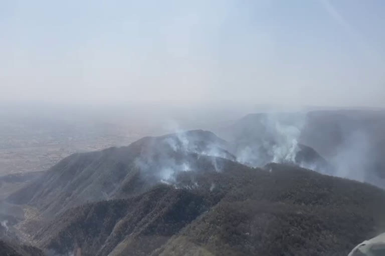 forest fire in sariska