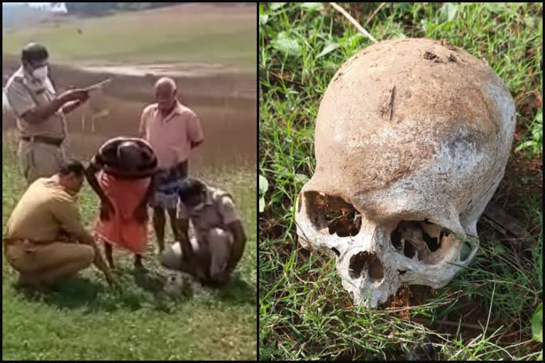 skull got from ayyappankovil  skull got from near ayyappankovil river  അയ്യപ്പൻകോവിലില്‍ മനുഷ്യന്‍റെ തലയോട്ടി കണ്ടെത്തി  അയ്യപ്പൻകോവിൽ തൂക്കുപാലത്തിന് സമീപത്തുനിന്നും മനുഷ്യന്‍റെ തലയോട്ടി  ഇടുക്കി ഇന്നത്തെ വാര്‍ത്ത