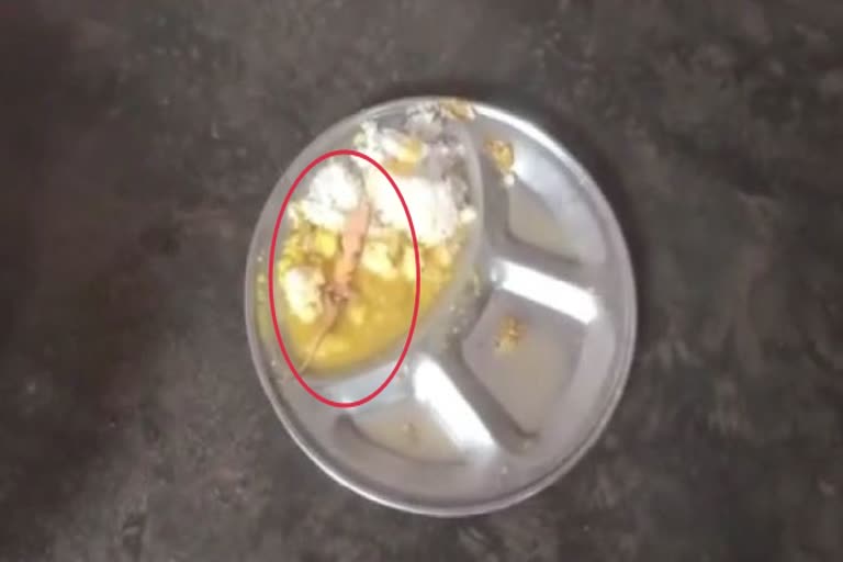 Lizard found in mid day meal in Saran