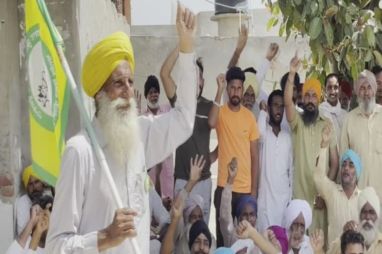 ਨਰਮੇ ਦੇ ਮੁਆਵਜ਼ੇ 'ਚ ਹੋਇਆ ਵੱਡਾ ਘਪਲਾ