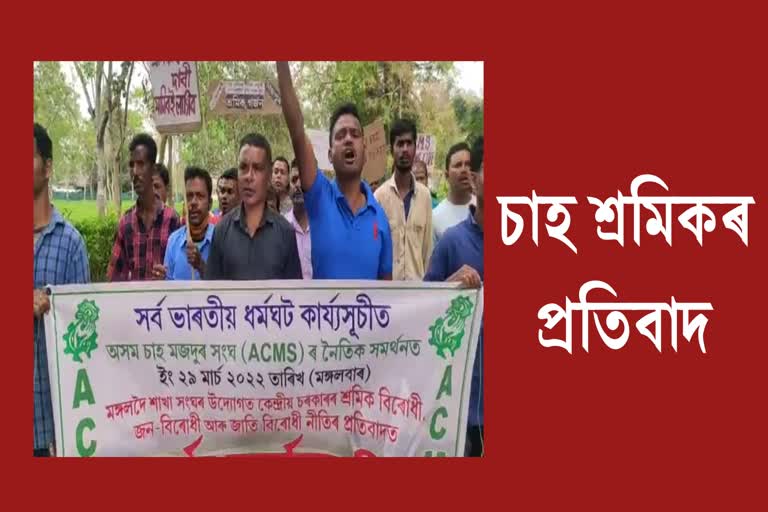 Tea workers protest in Borengajuli Tea estate Udalguri