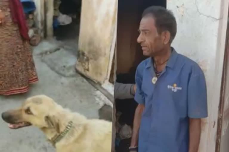 Drug addict raped female dog in Bhopal