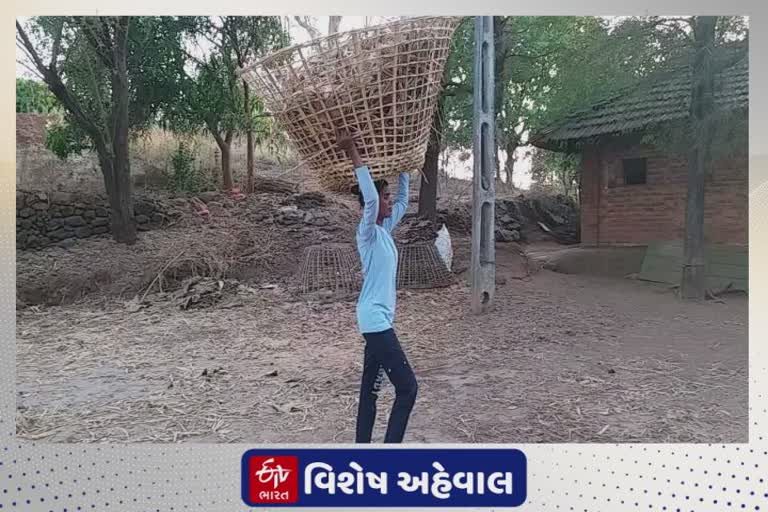 Woe of Martial Arts Gold Winner : અંતરિયાળ ગામોમાં ખેલકૂદ પ્રતિભાઓને શાબ્દિક નહીં આર્થિક પ્રોત્સાહનની જરુર, દક્ષા ચૌધરીના મનની વાત