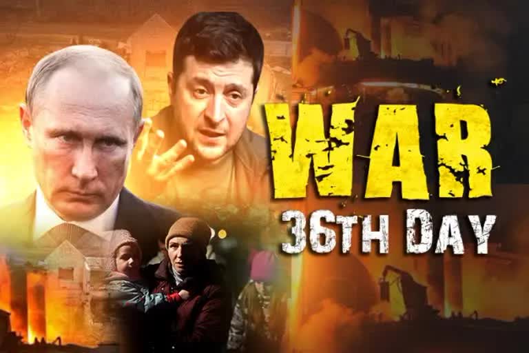 War 36th day