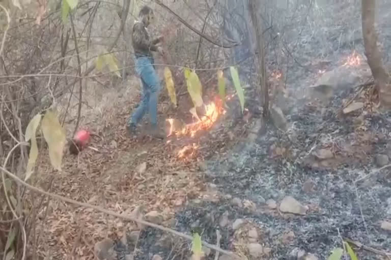 Forest workers extinguishing the fire in Sariska