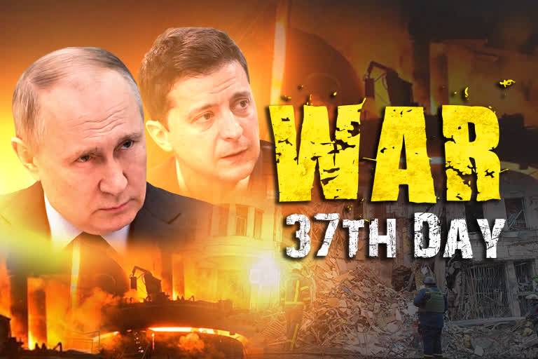 Ukraine-Russia War 37th Day