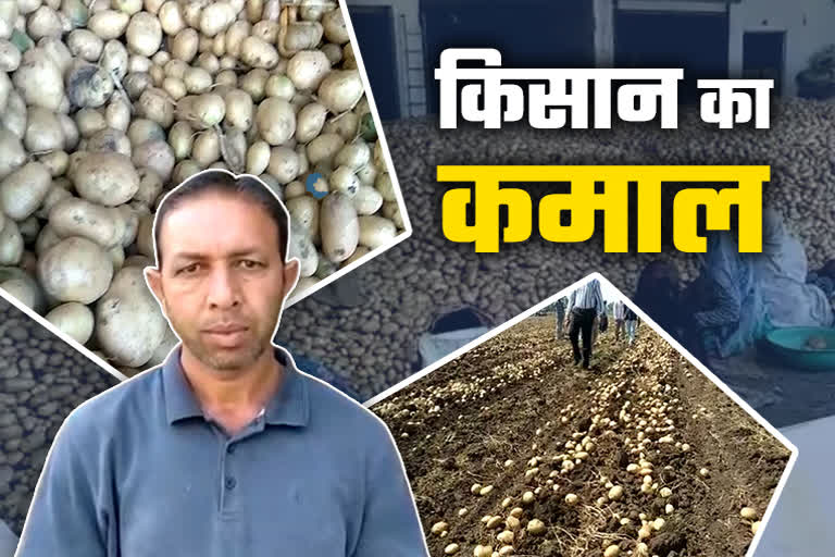 Potato farmer got double production