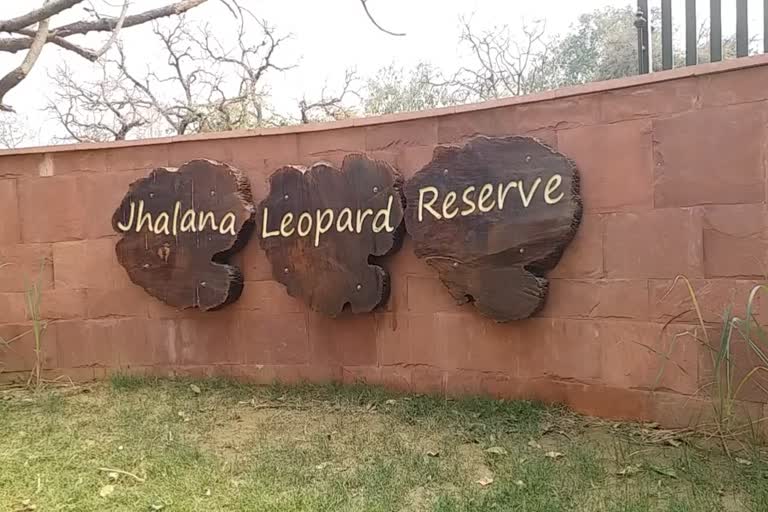 Jhalana Leopard Safari