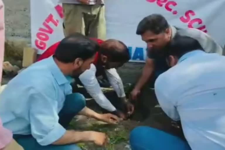 Plantation Drive In Jammu And Kashmir: جموں و کشمیر کے مختلف اضلاع میں شجرکاری مہم کا آغاز