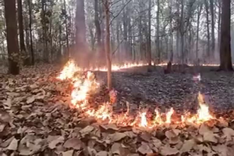 fire in the forests of balrampur