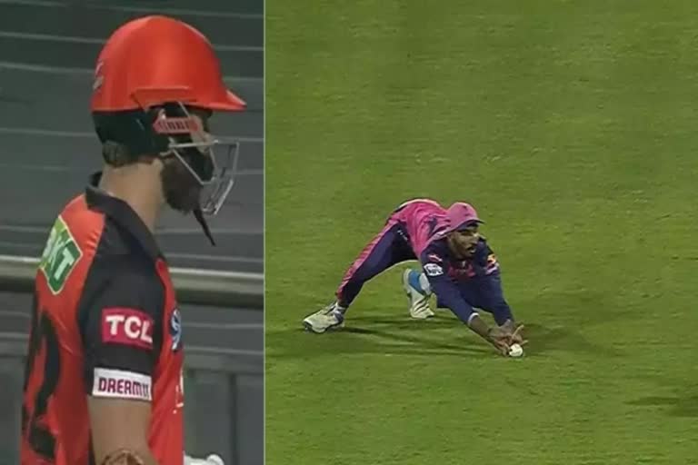 kane williamson catch at IPL 2022