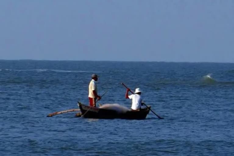 Sri Lankan Navy arrests 12 Indian fishermen