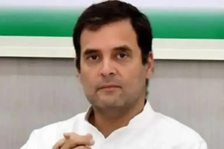 rahul gandhi