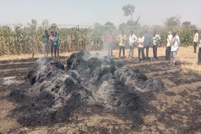 Sitting in a heap of wheat set himself on fire